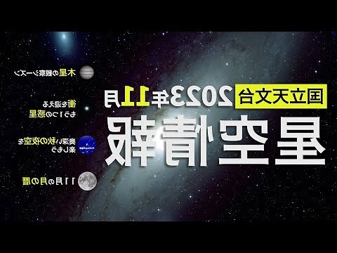 11月 星座